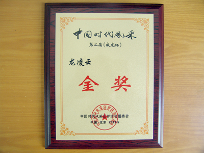 我院學(xué)生龍凌云榮獲第二屆中國時代風(fēng)采征評活動金獎