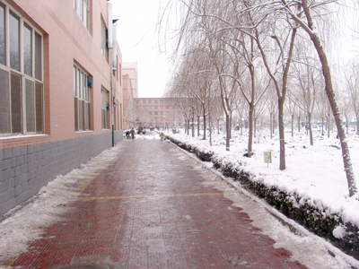 新學期全院教職工清掃校園積雪