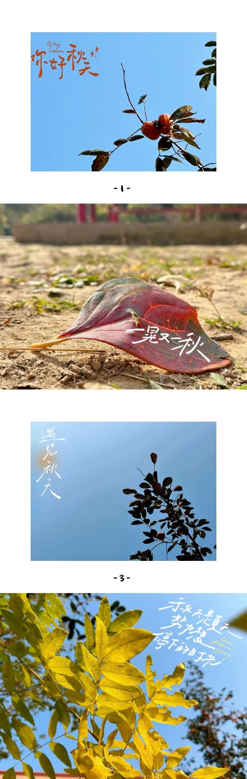 保理之秋，邂逅美好！