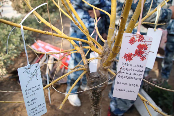 植樹節(jié)|管理學(xué)院|手植一抹綠，心栽一片林
