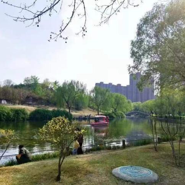 春日旅行攻略|管理學(xué)院|看這里，一起暢行保定