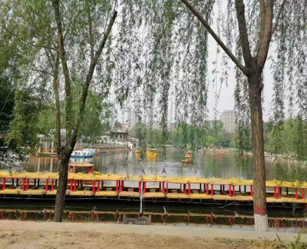 春日旅行攻略|管理學(xué)院|看這里，一起暢行保定