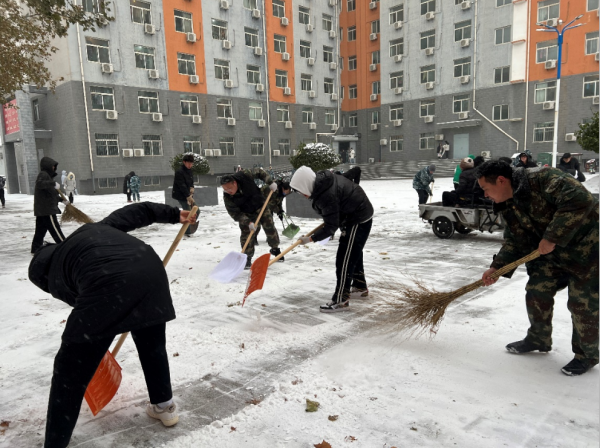 保定理工學院||管理學院||黨員先鋒在行動 清雪除冰傳溫情