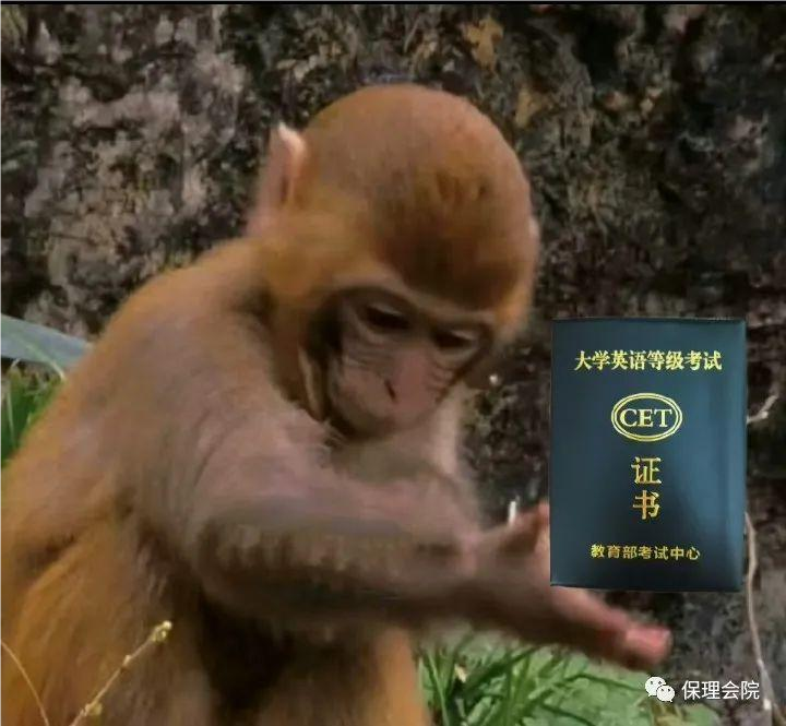保理會(huì)計(jì)學(xué)院大學(xué)考證知多少——英語(yǔ)四六級(jí)證書(shū)