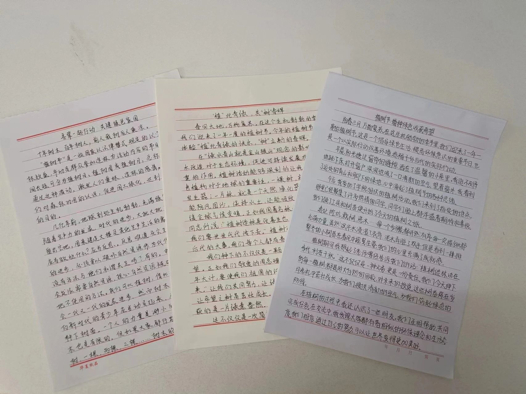 “‘植’此青綠，教樹人心，‘育’汝于成”植樹節(jié)活動(dòng)圓滿結(jié)束!