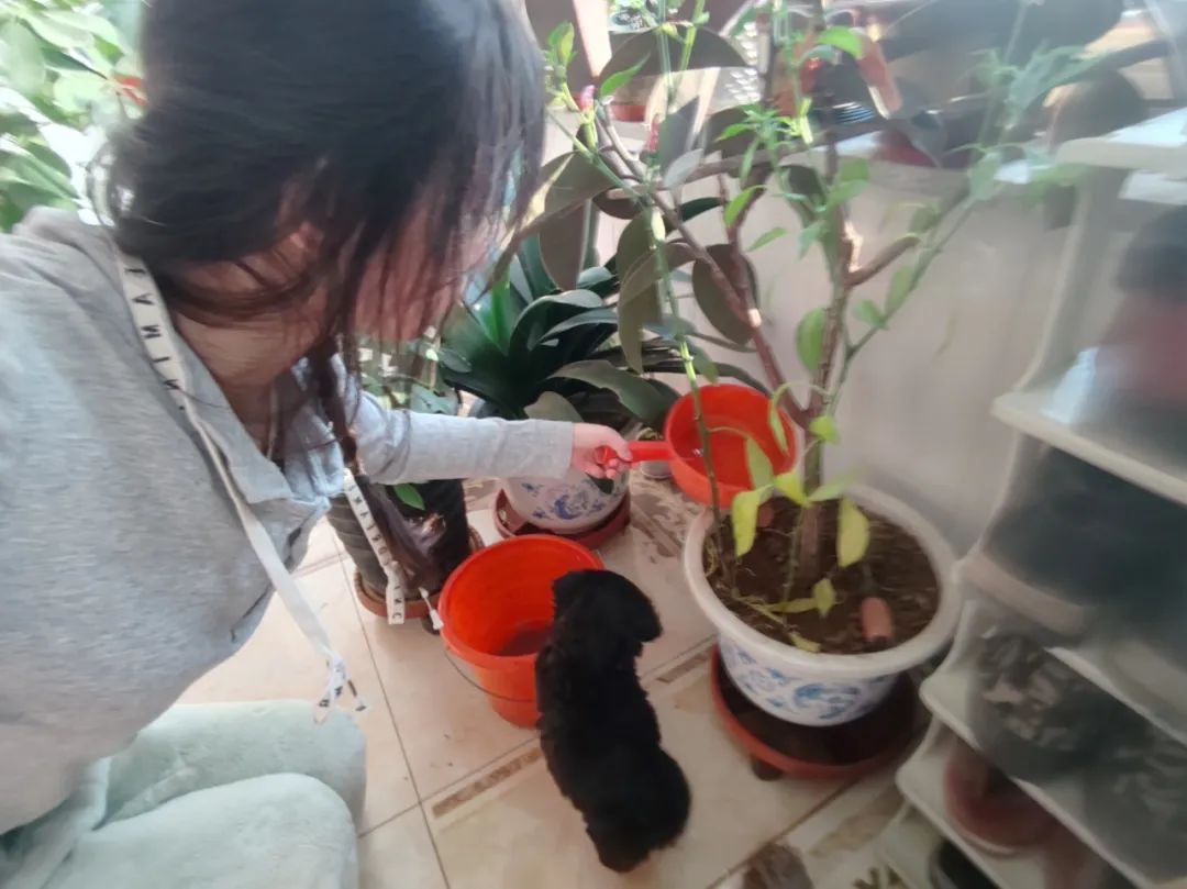寸草春暉，情暖桑榆（七）