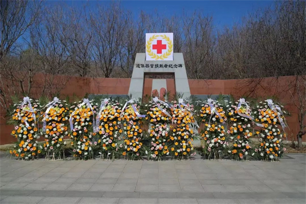 “禮敬捐獻?延續(xù)大愛”經(jīng)濟學院組織師生參加遺體器官捐獻緬懷紀念活動