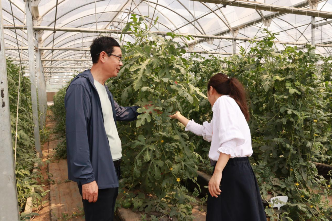 河北水潤(rùn)佳禾農(nóng)業(yè)集團(tuán)成功舉行掛牌儀式