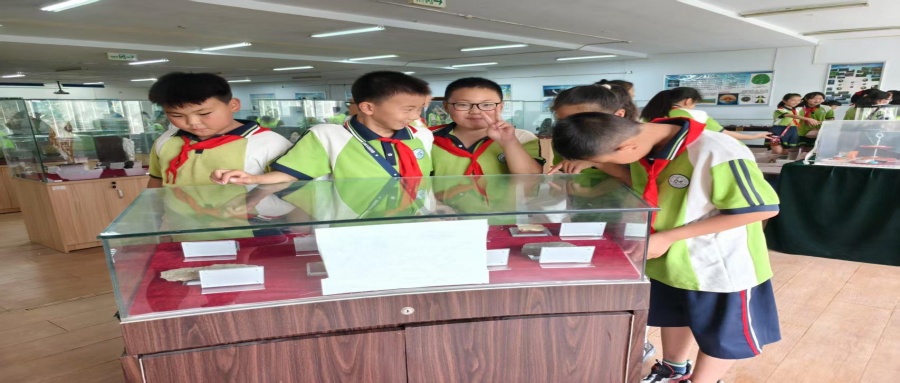保定市蓮池區(qū)西馬池小學(xué)200名學(xué)生走進(jìn)我校地質(zhì)館開(kāi)展新時(shí)代文明實(shí)踐活動(dòng)